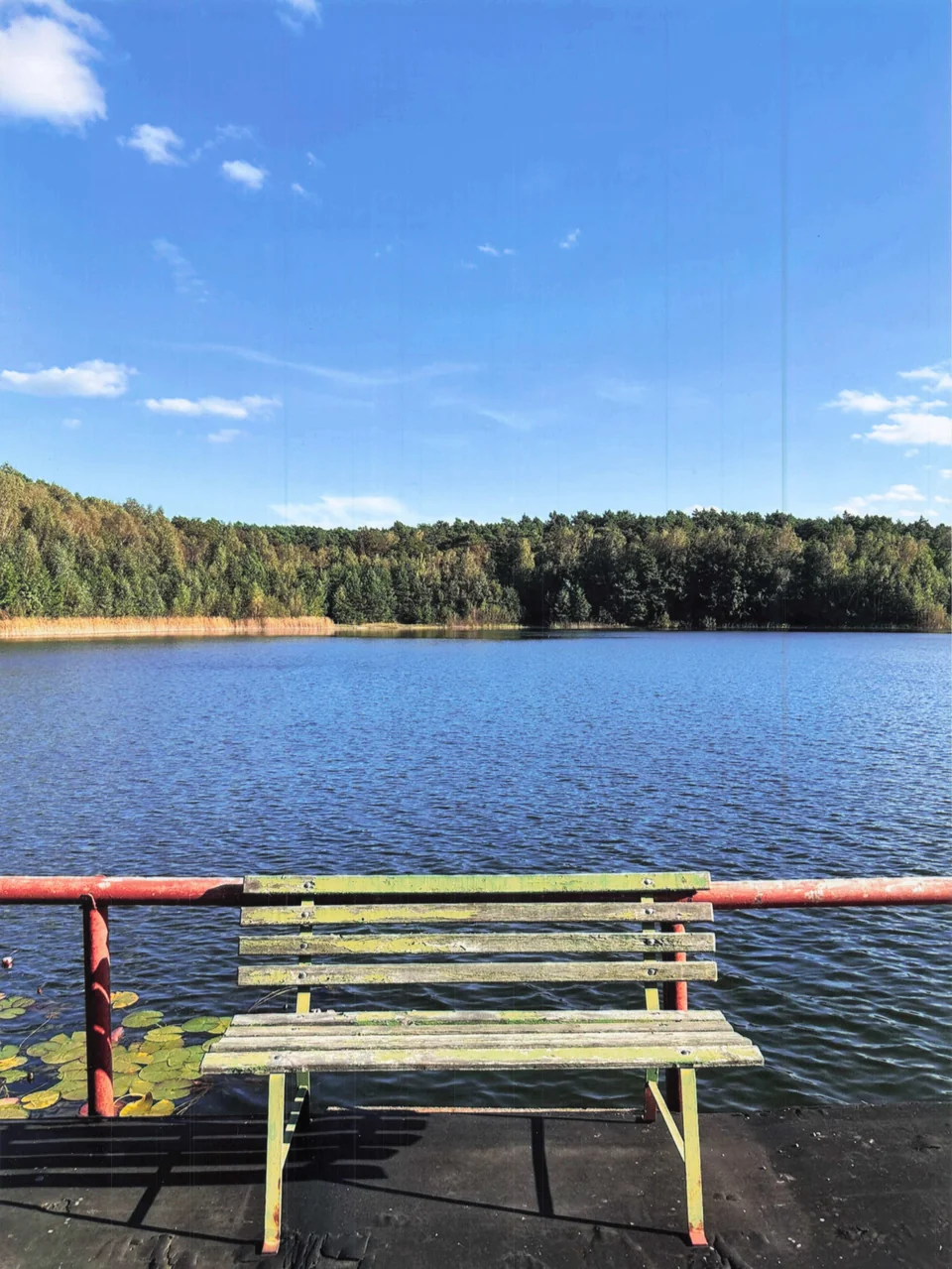 Holzbank auf dem bestehenden Steg mit Blick über den See